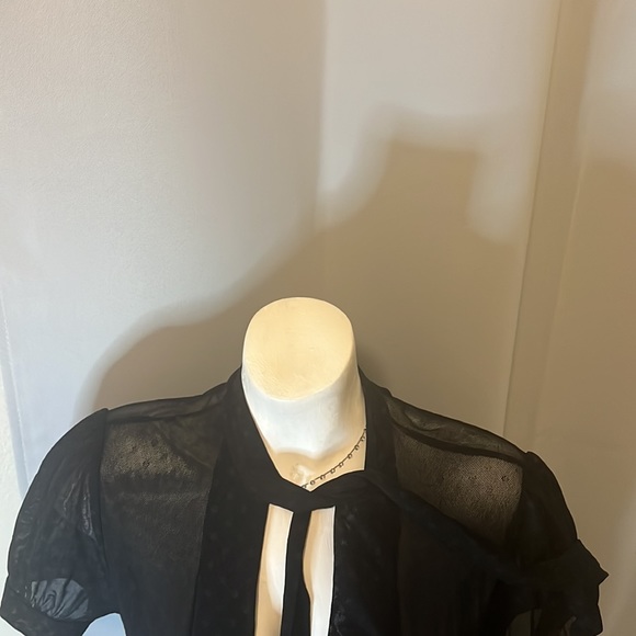 Women’s black sheer polka dot blouse with tie strings on the neck for bow - Picture 11 of 13